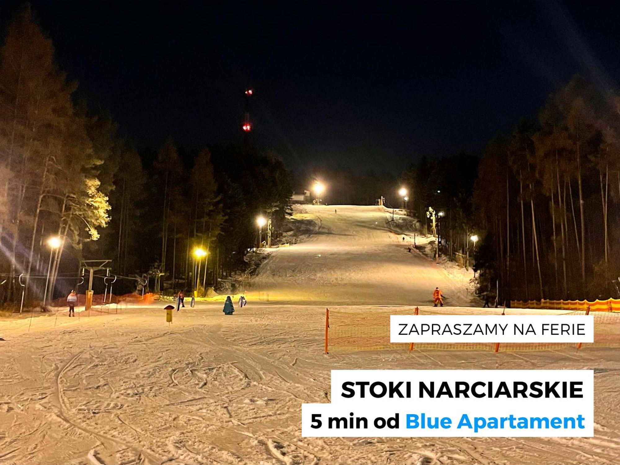 Blue Apartment Kielce Bagian luar foto